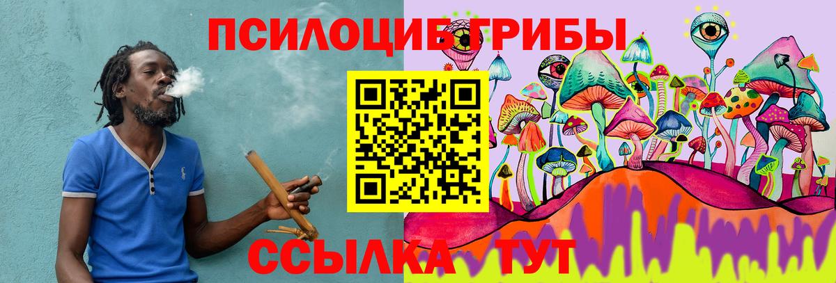 Барнаул  Псилоцибиновые грибы Cubensis  Вход с VPN 